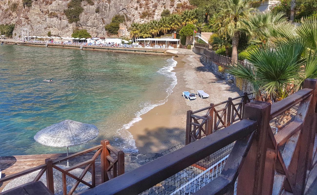 Foto af Ladonia beach med grå fin sten overflade