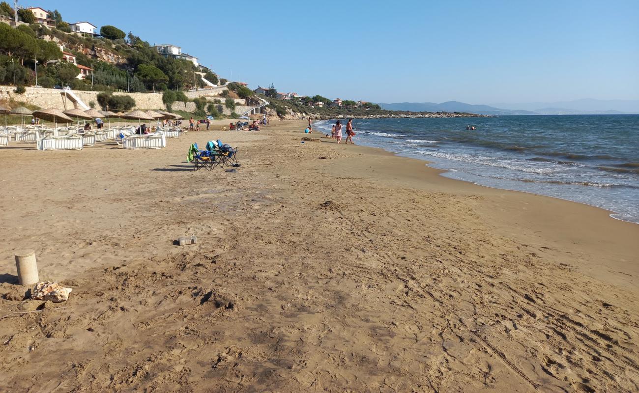 Foto af Yoncakoy beach med brunt sand overflade