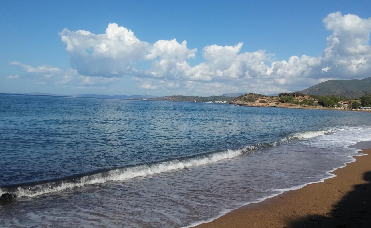 Foto af Sukuralti beach II med brunt sand overflade