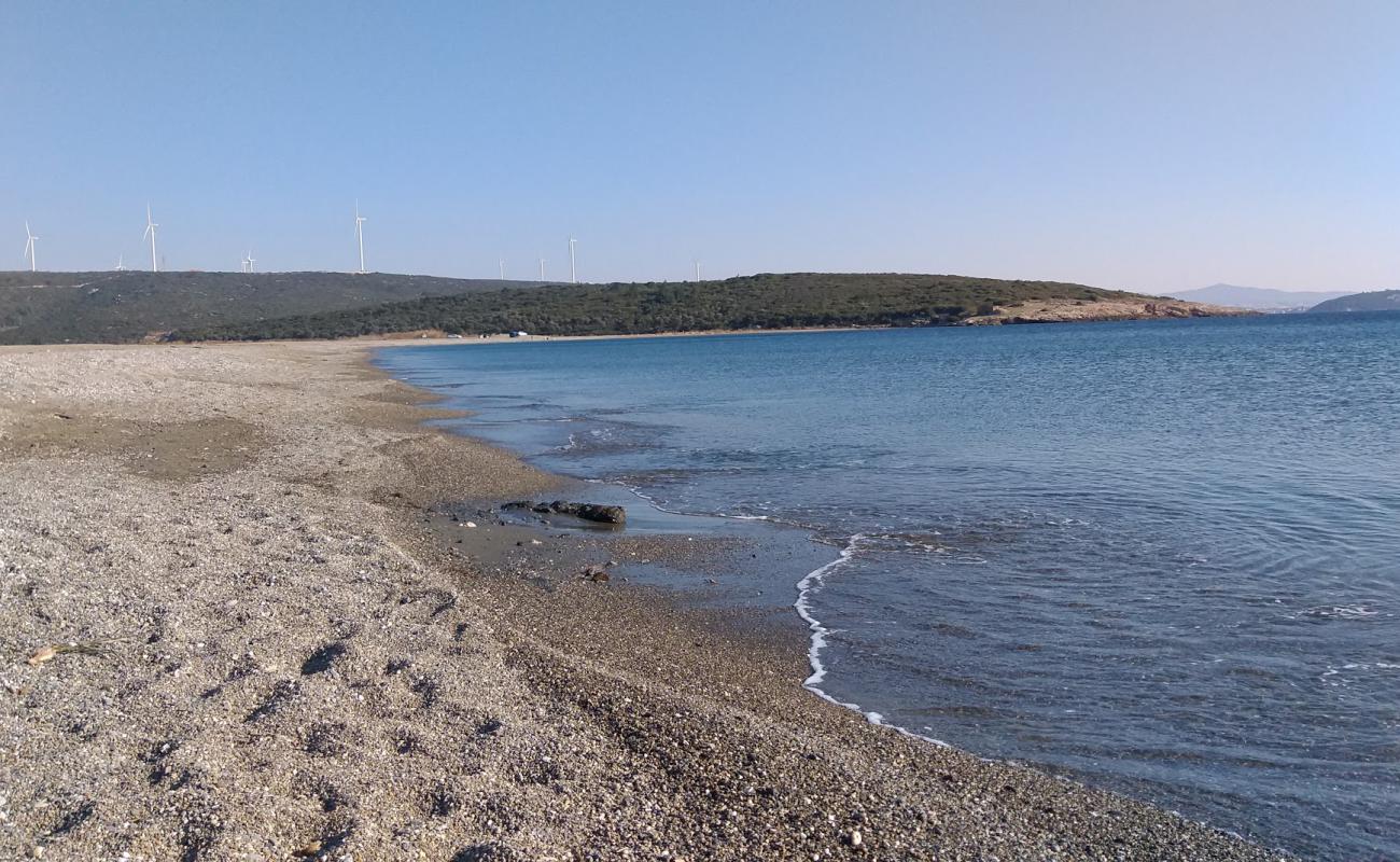 Foto af Azmak Plaji med let fin sten overflade