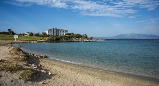 Palmiye beach