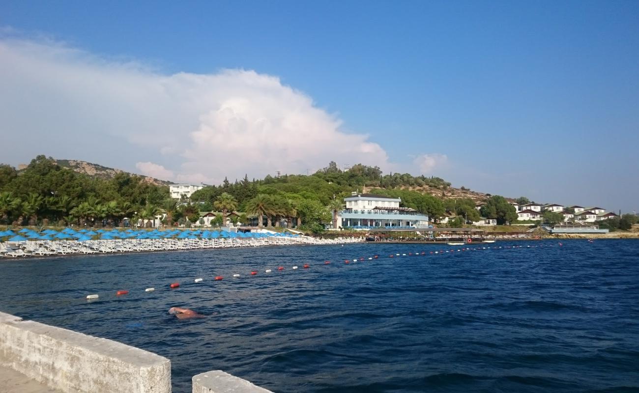 Foto af Foca beach med brunt sand overflade