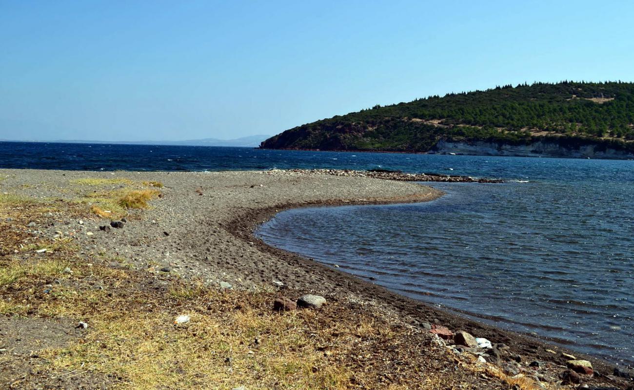 Foto af Sebatepolis beach med sten overflade