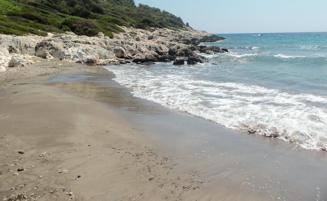 Foto af Leech Beach II med brunt sand overflade