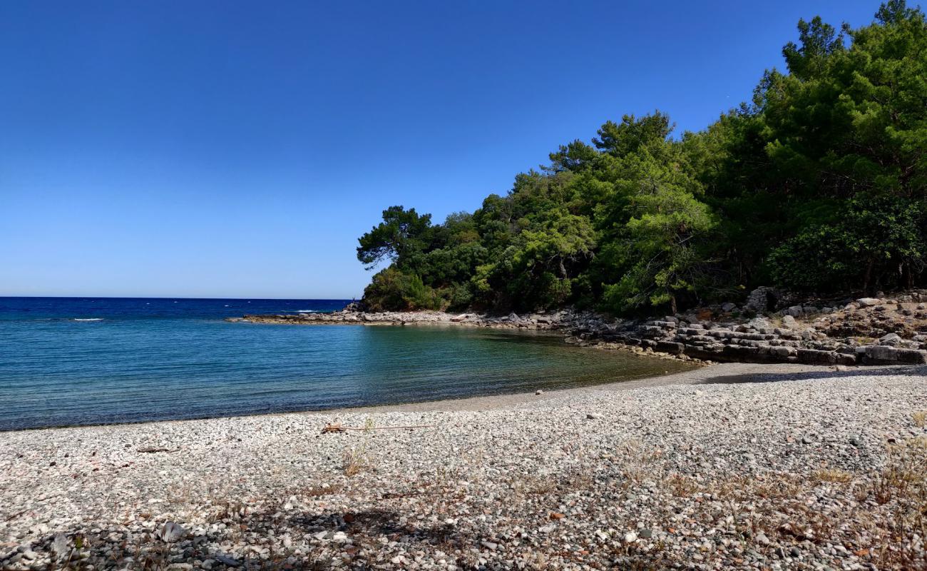 Foto af Phaselis beach med sort sand og småsten overflade