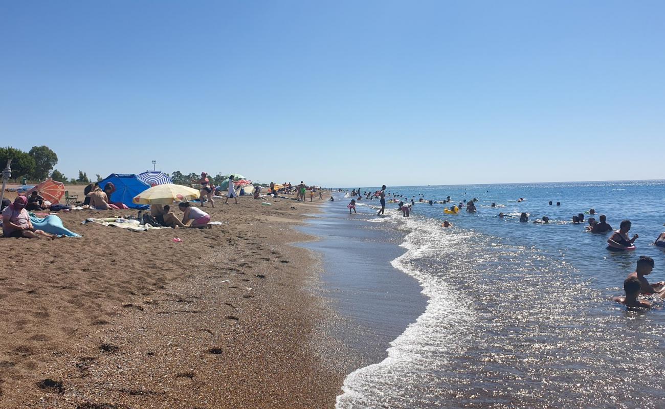 Foto af Lara Strand med brunt sand overflade