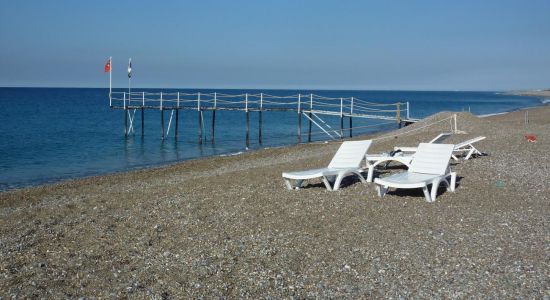 Sea Garden beach II