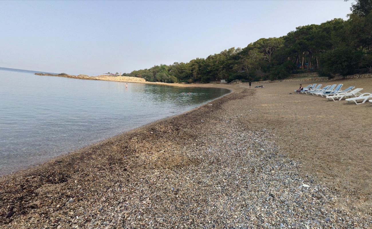 Foto af Incekum beach III med grønt rent vand overflade