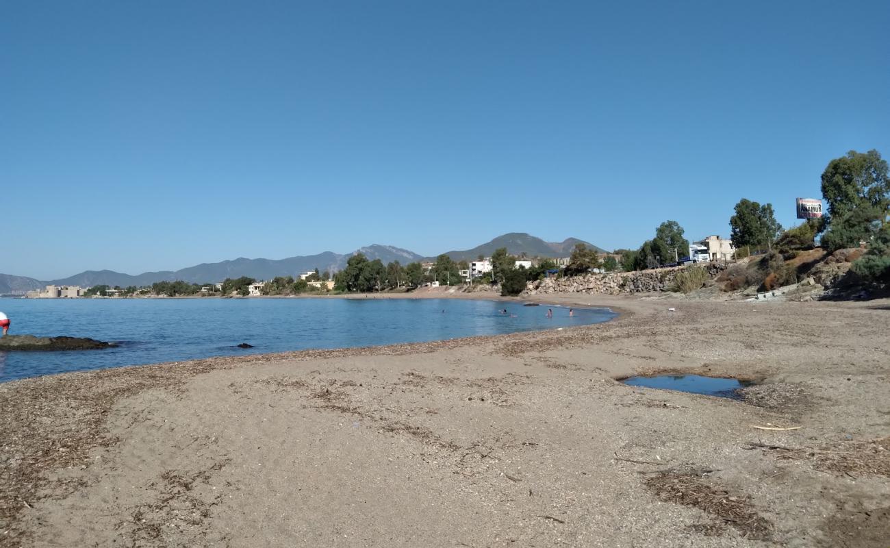 Foto af Bozdogan beach med brunt sand overflade