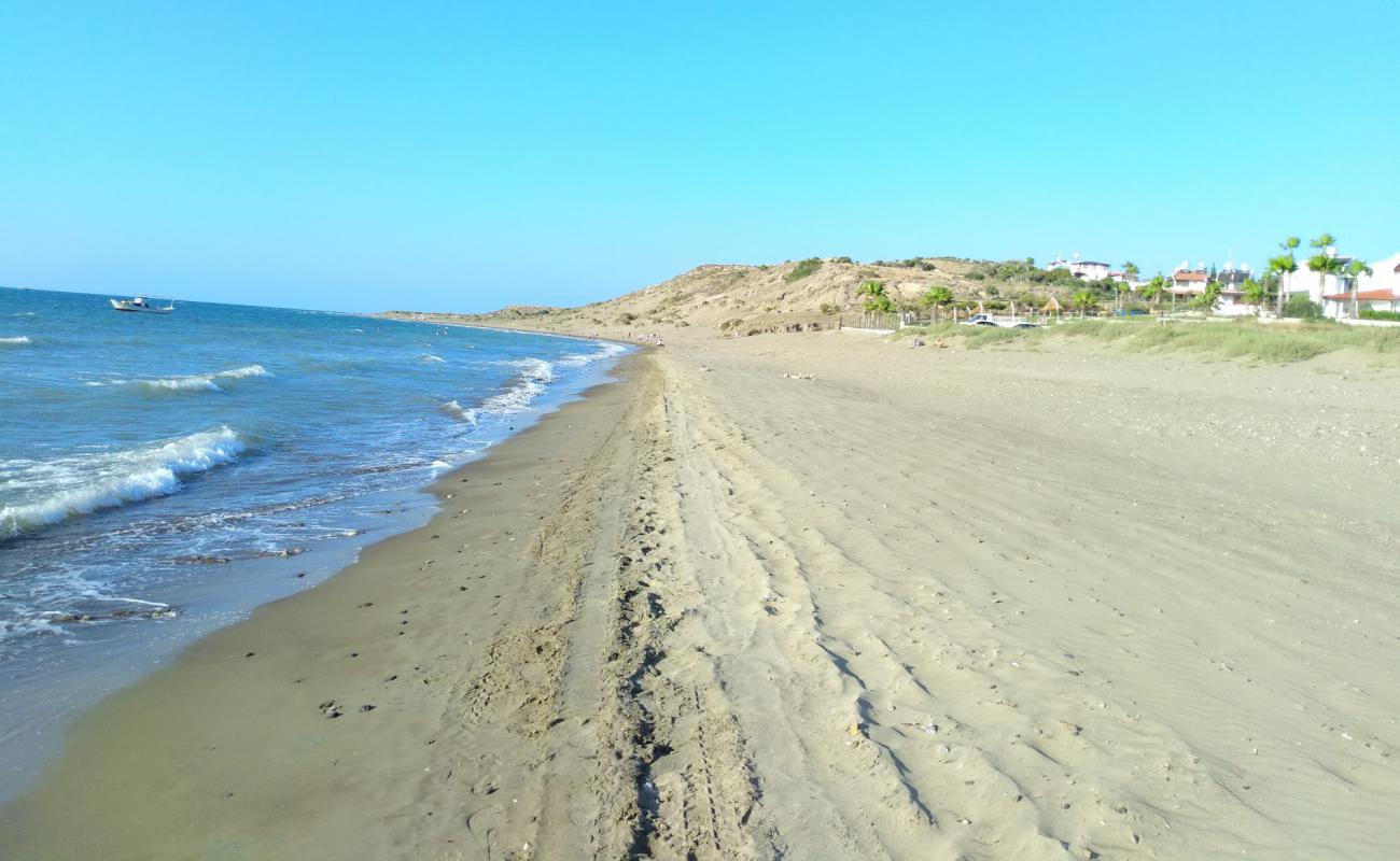 Foto af Arsuz beach med lys sand overflade