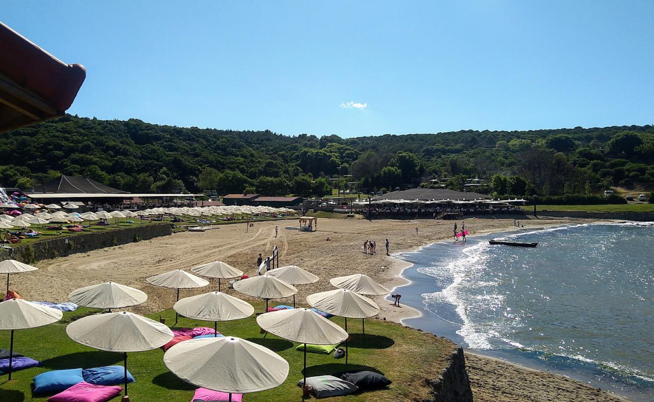 Foto af Uzunya beach med lys sand overflade