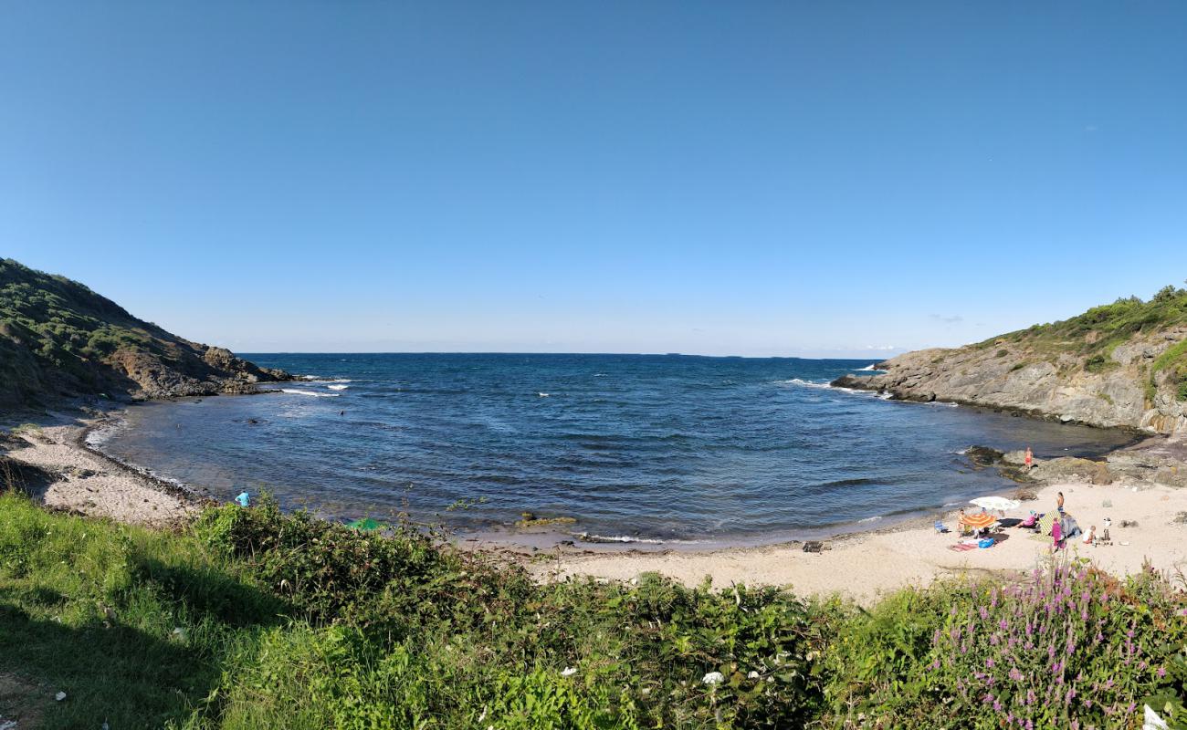 Foto af Sebastian beach med lys sand overflade