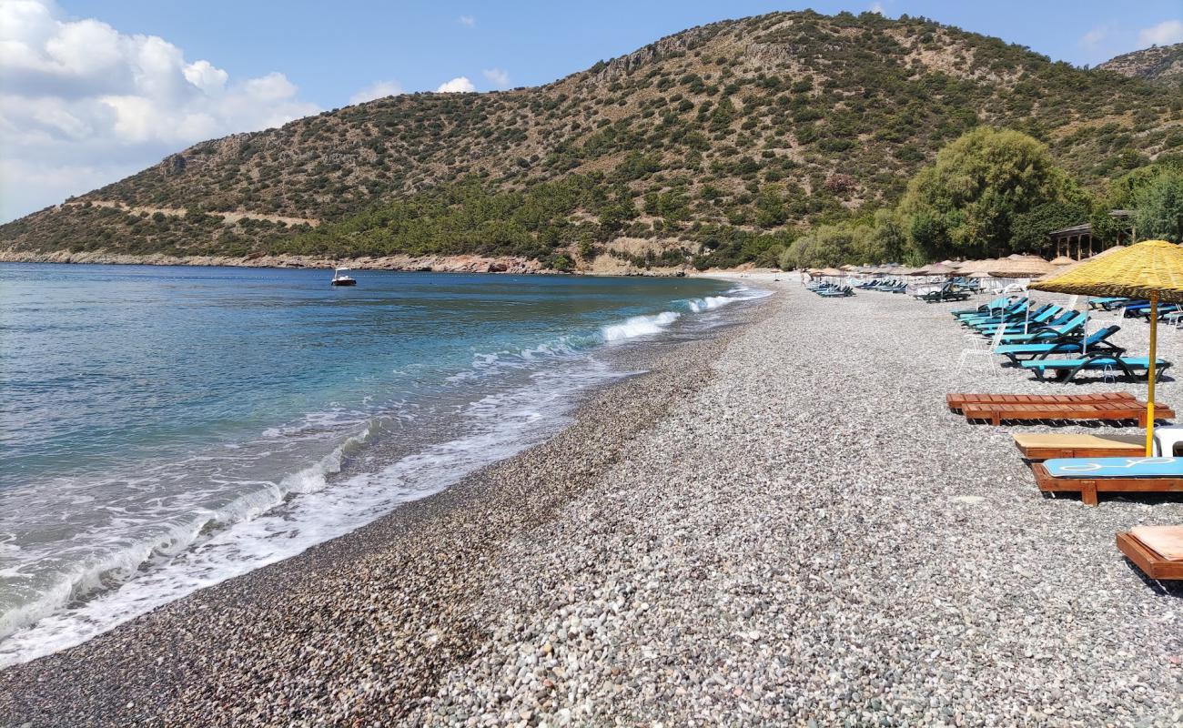 Foto af Yali Sezar Beach med let sten overflade