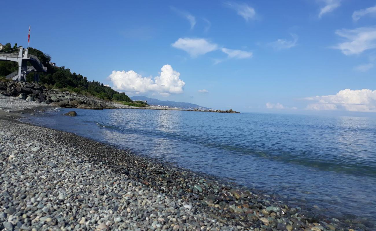 Foto af Tasbasi Beach med grå sten overflade