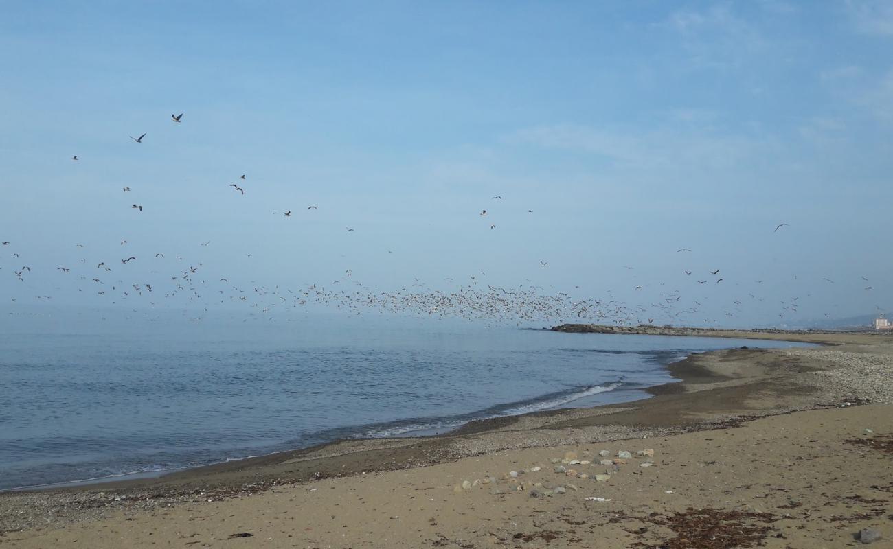 Foto af Sogukpinar Neighborhood Beach med lyst sand & sten overflade