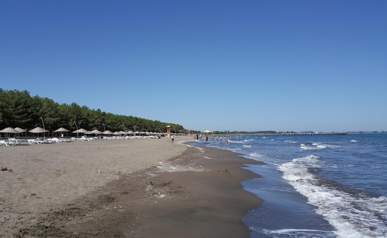 Foto af Milic Beach med grå sand overflade