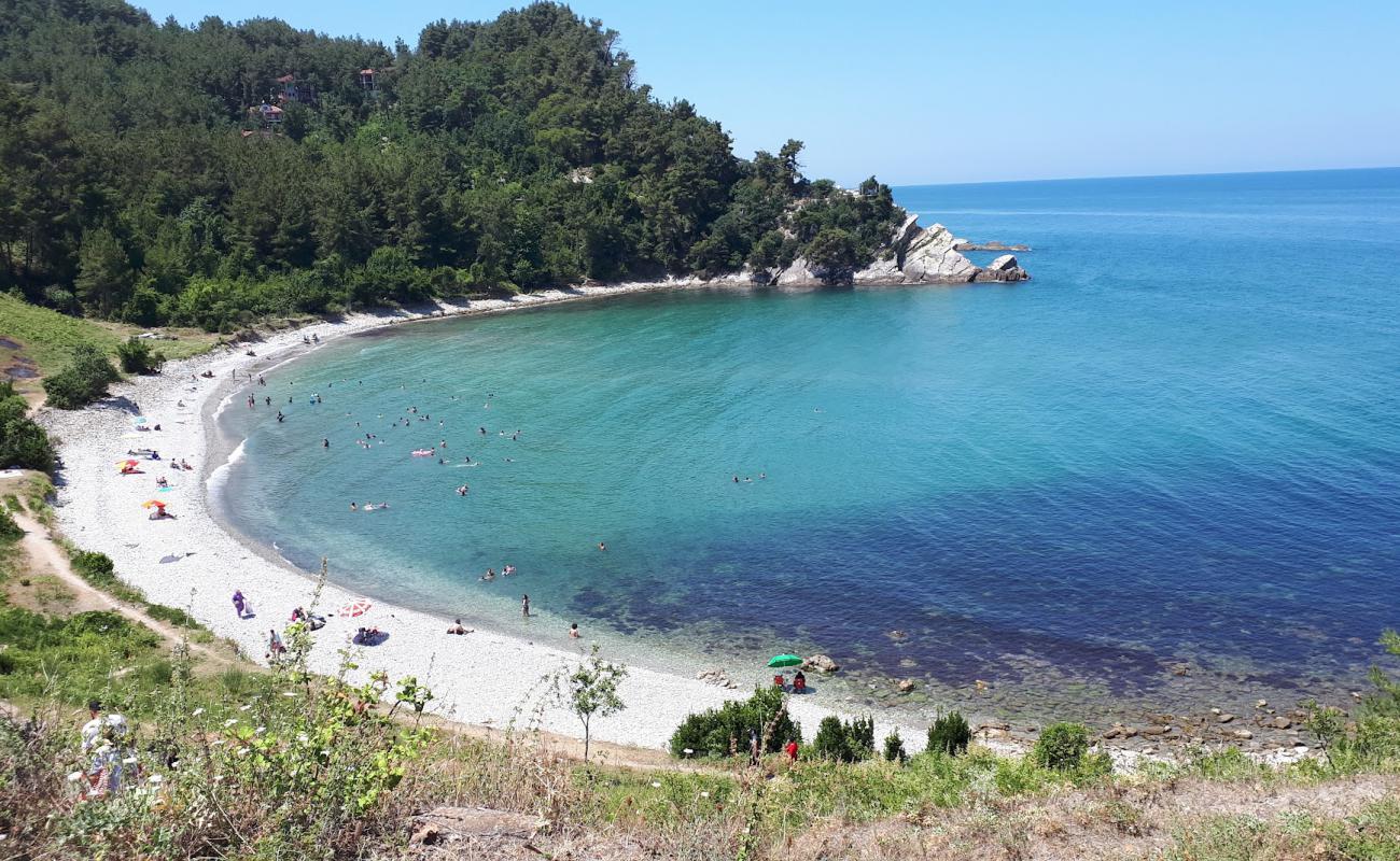 Foto af Ginolu Koyu Beach med grå sten overflade