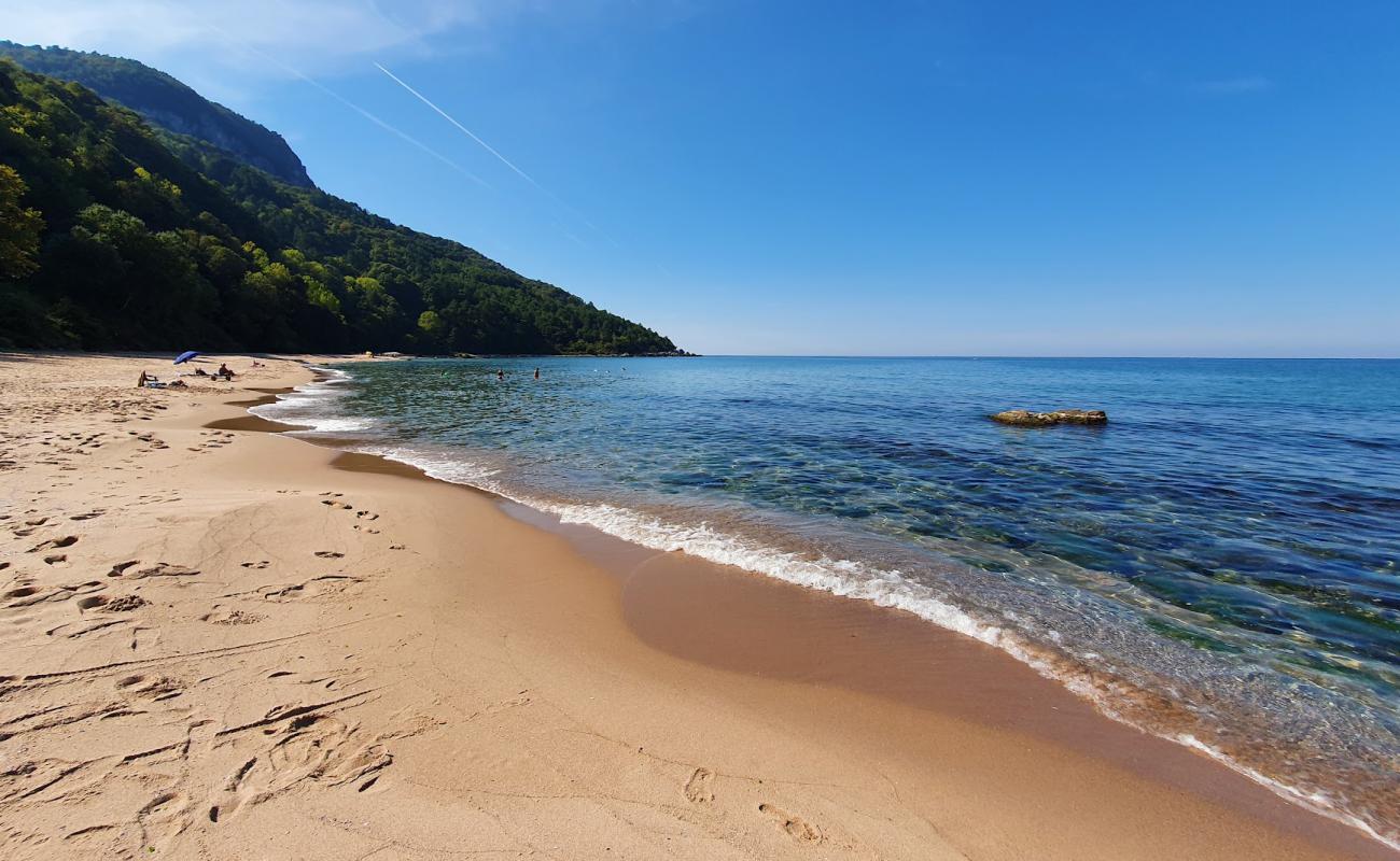 Foto af Bozkoy Plaji med lys sand overflade