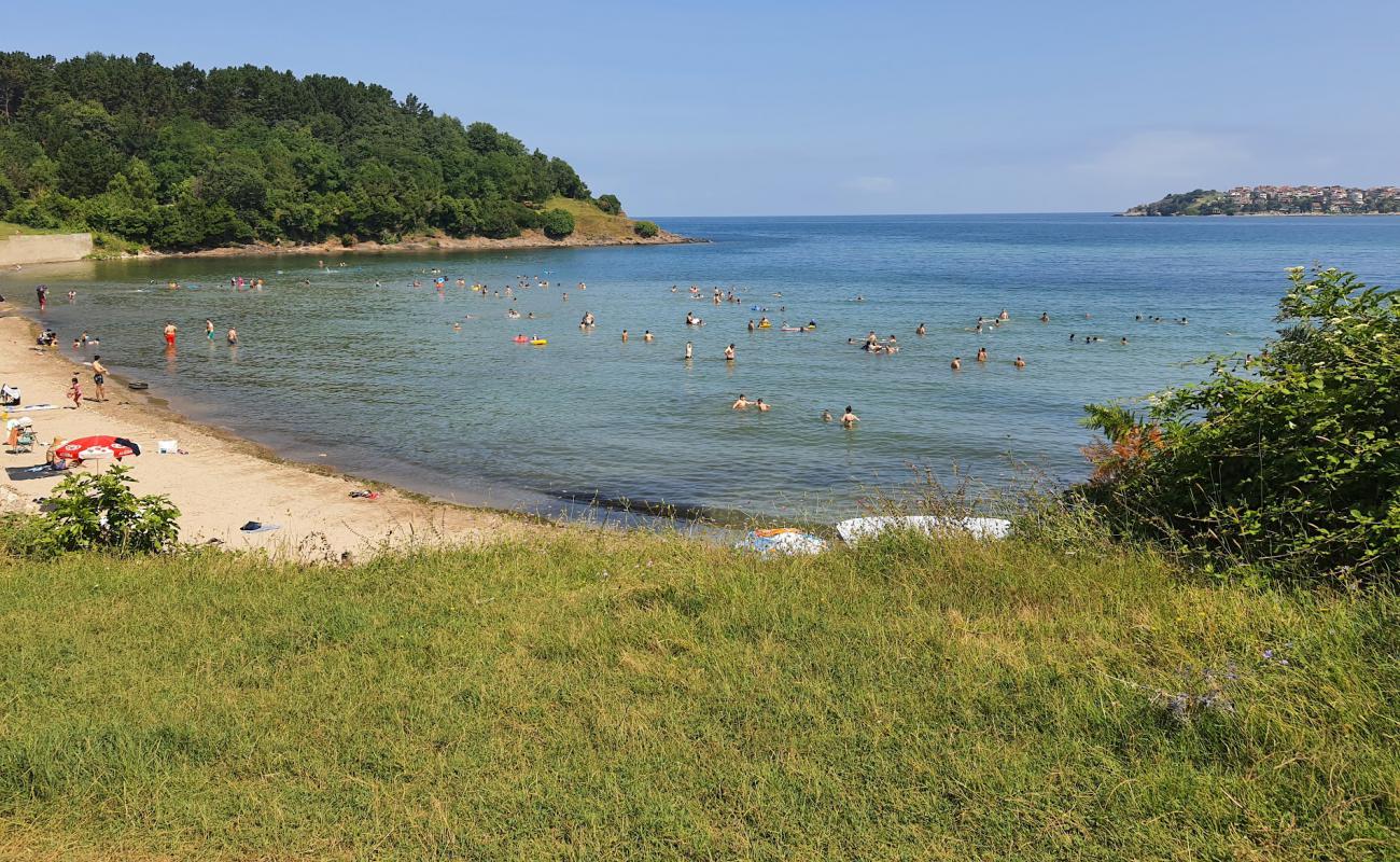 Foto af Omeragzi Koyu med lys sand overflade