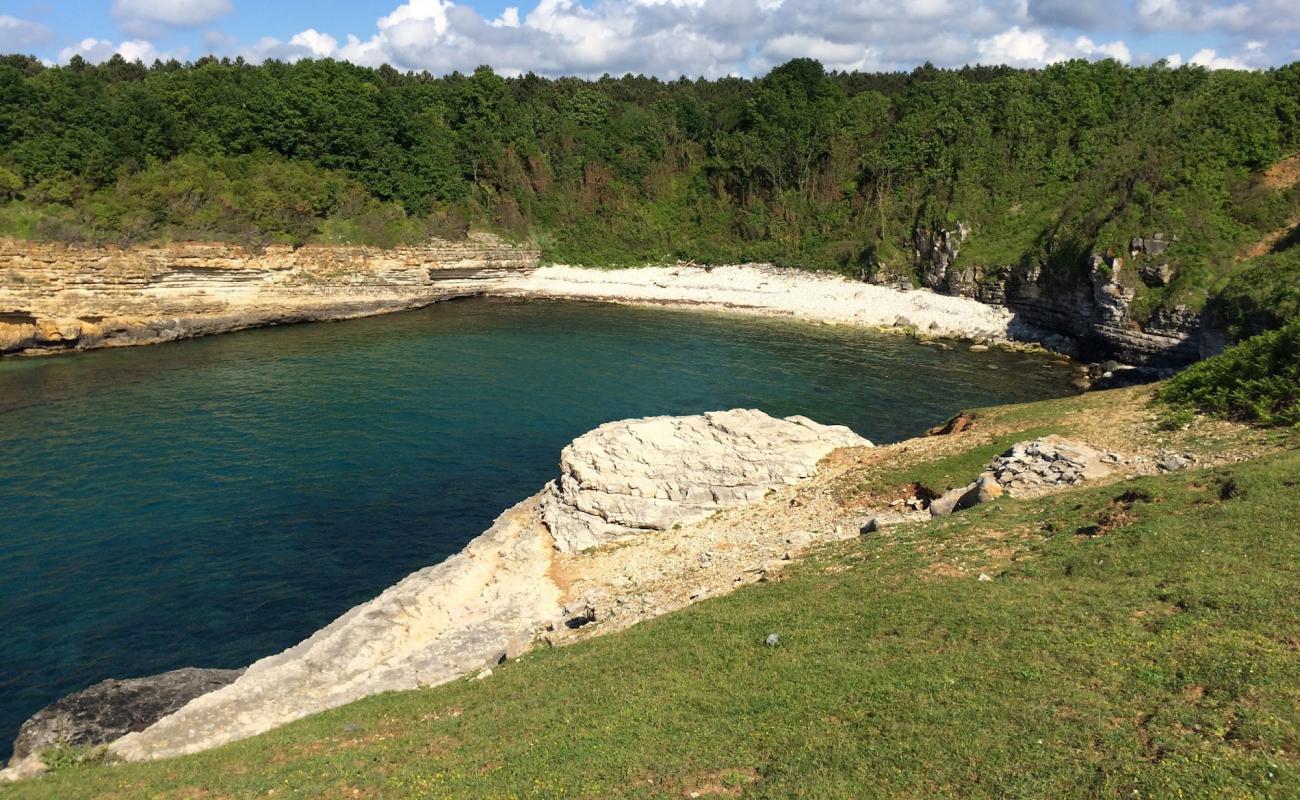 Foto af Palamar Koyo med sten overflade