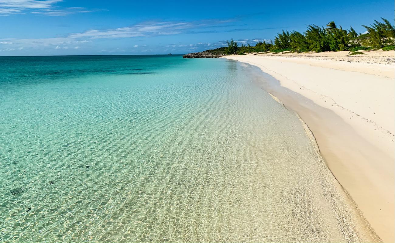 Foto af Taylor Bay beach med lys fint sand overflade