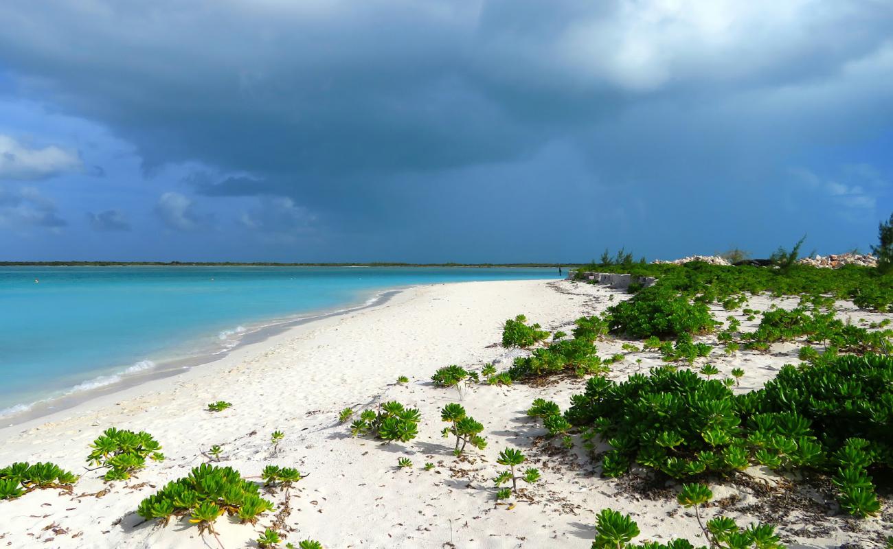 Foto af Leeward beach med hvidt sand overflade