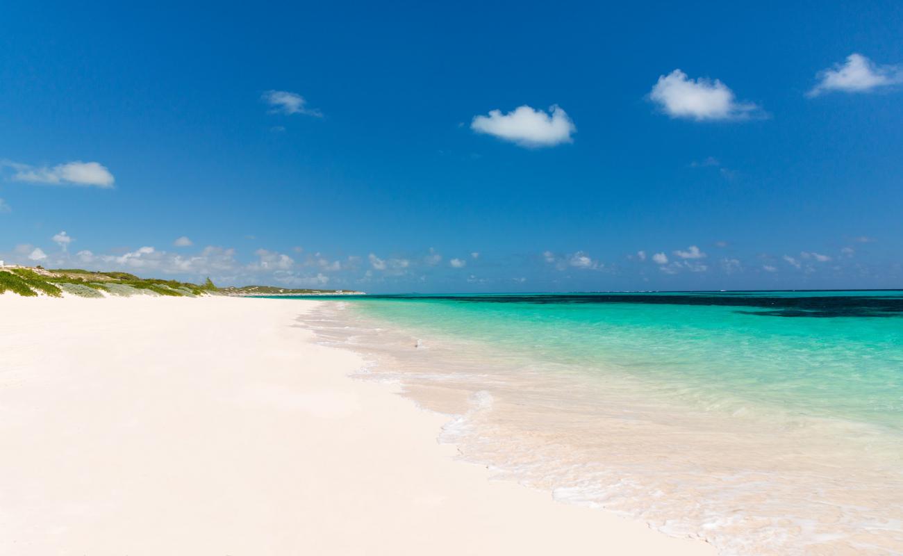 Foto af South Caicos beach med lys fint sand overflade