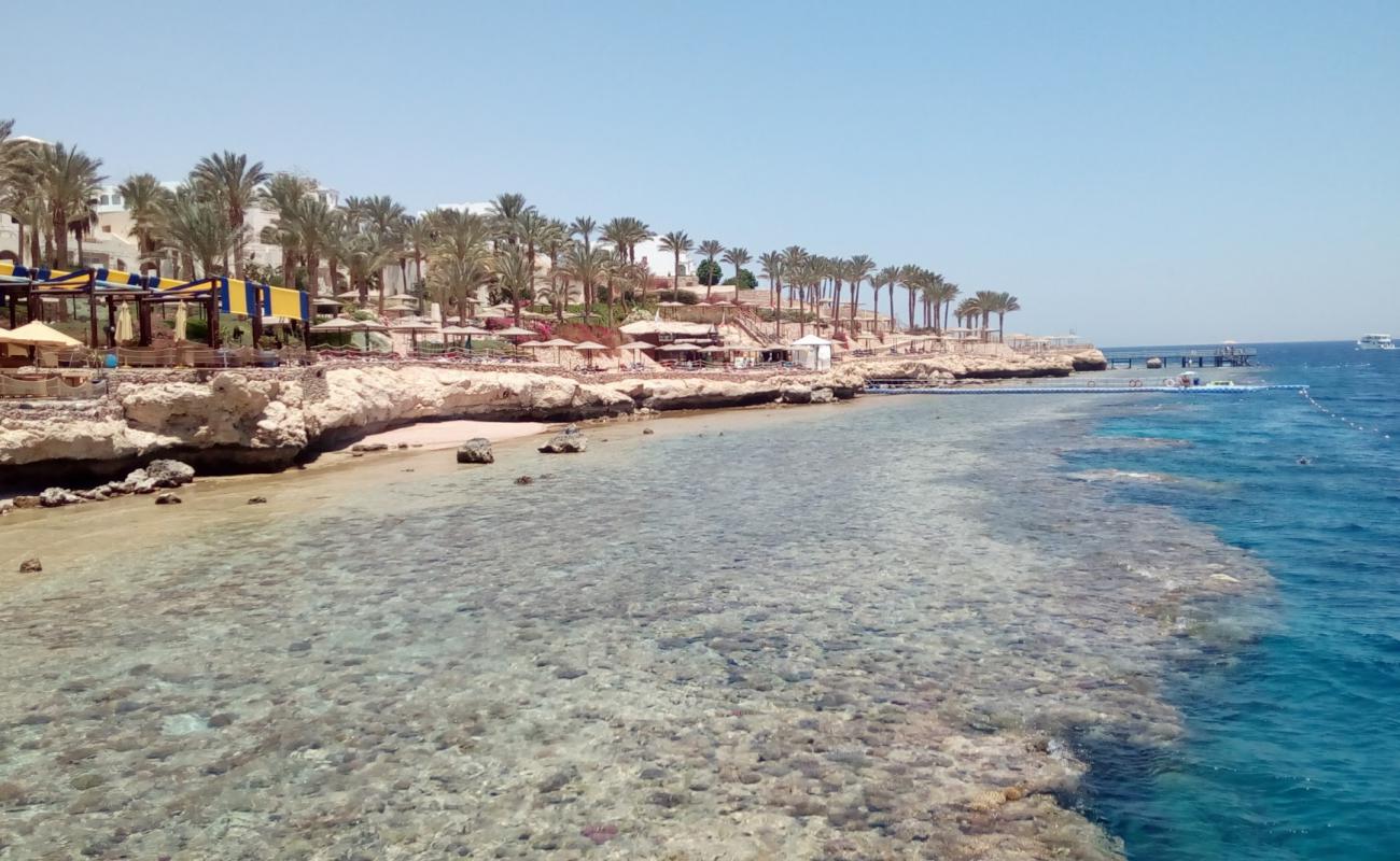 Foto af Rotana resort beach med betonovertræk overflade