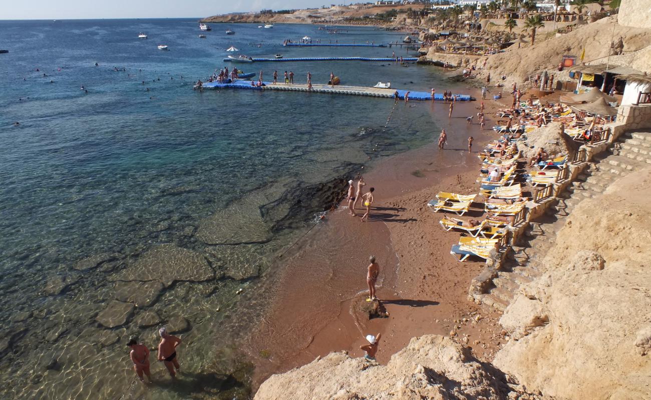 Foto af Shark Bay beach med betonovertræk overflade