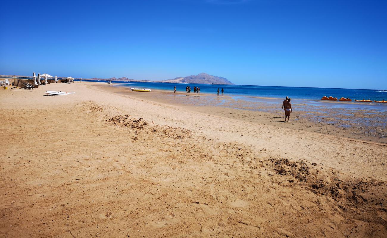 Foto af Adrenaline Beach Park med lys sand overflade