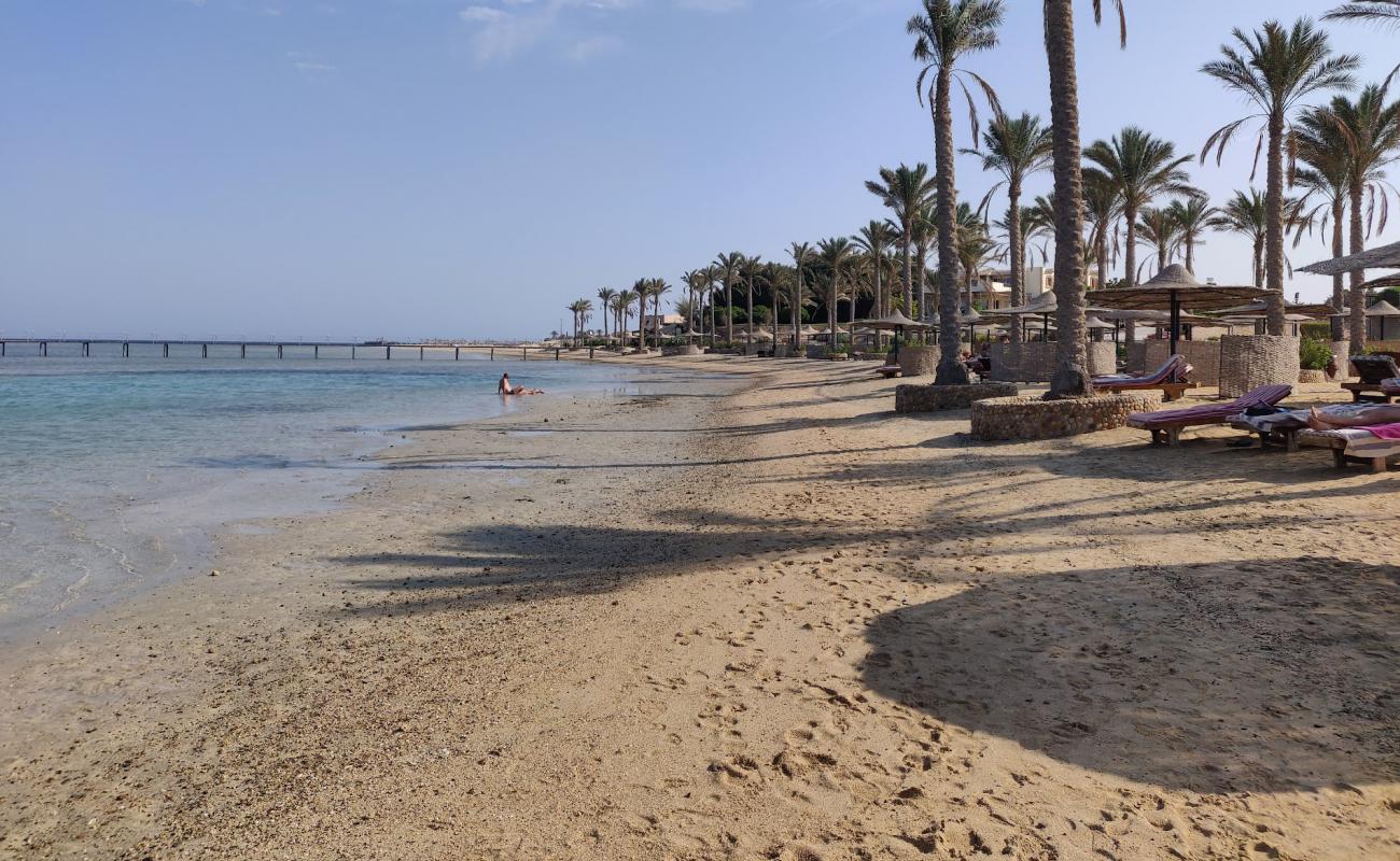 Foto af Elphistone Resort Marsa Alam Strand med lys sand overflade