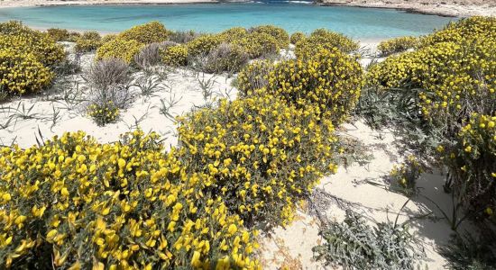 Ras El Hikma Beach