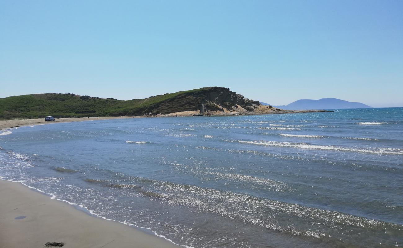 Foto af Zvernec Beach med brunt sand overflade