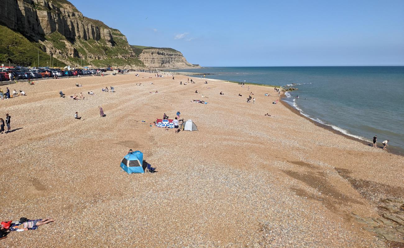 Foto af Hastings Strand med let fin sten overflade