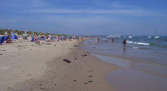 Studland Naturist beach