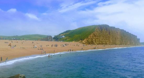 Jurassic Coast - Cliff