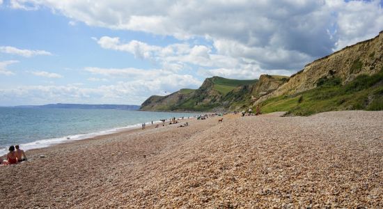 Eype strand