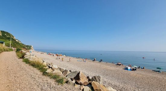 Branscombe Strand