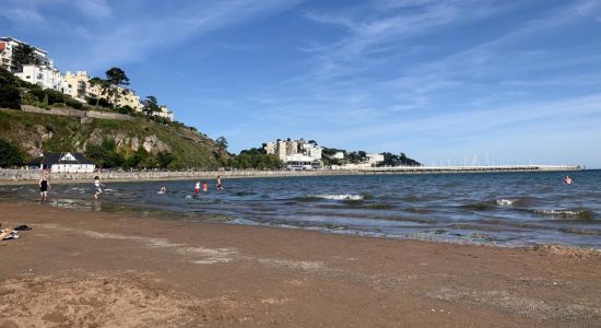 Torre Abbey Sands