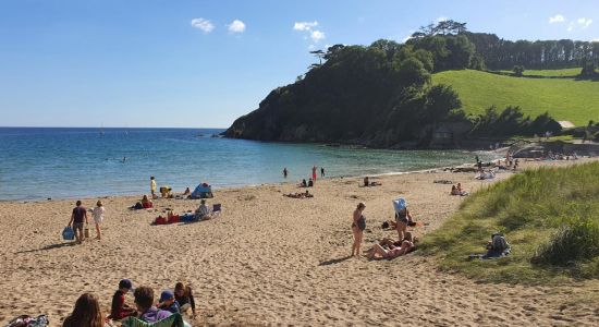 Mothecombe Strand