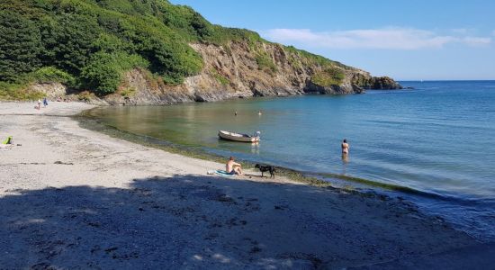 Polridmouth Cove