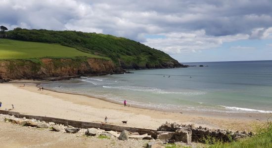 Caerhays Strand (Porthluney Bay)