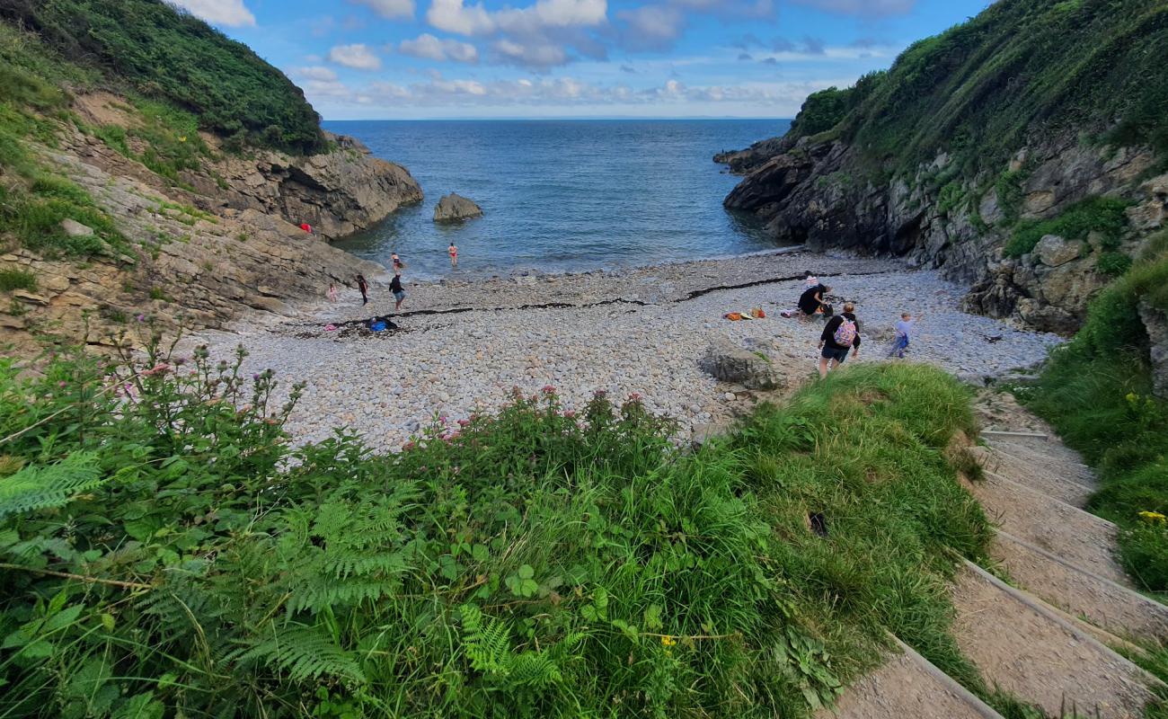 Foto af Brandy Cove med gråt sand og småsten overflade