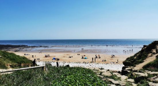 Danes Dyke beach