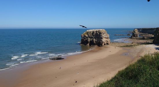 Marsden strand