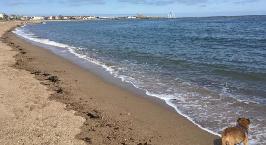 Newbiggin beach