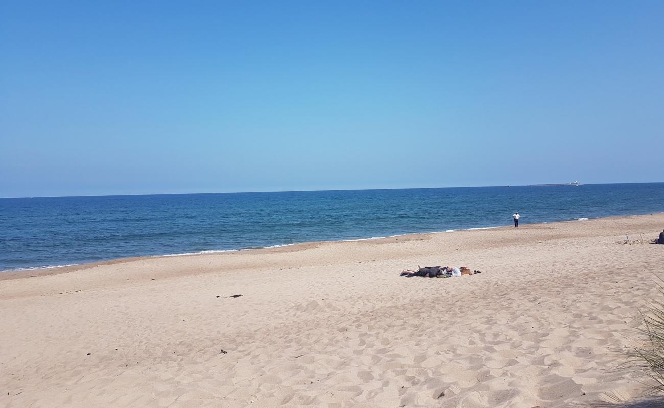 Foto af Warkworth strand med lys sand overflade