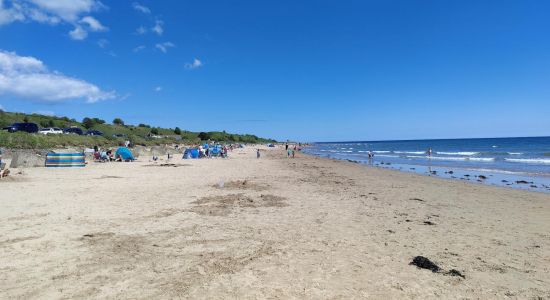 Alnmouth strand