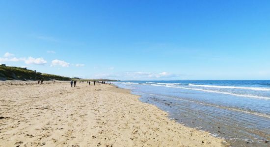 North Sunderland beach