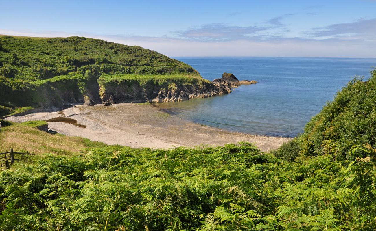 Foto af Aberfforest beach med gråt sand og småsten overflade